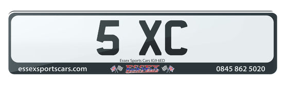 Rare 1x2 Premium Plate Could Represent Sexy or Initials SKC